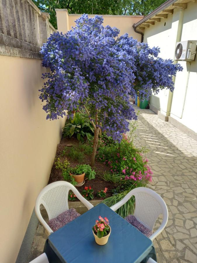 Apartment Punta Pola Esterno foto